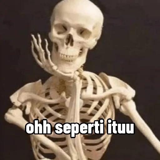 tengkorak☠️