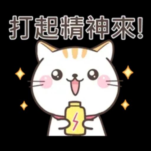 可愛貓小花♡路上小心