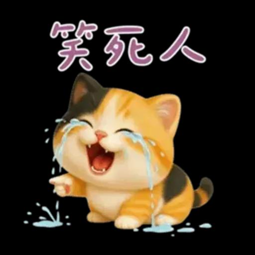 小花貓來嘍來嘍！