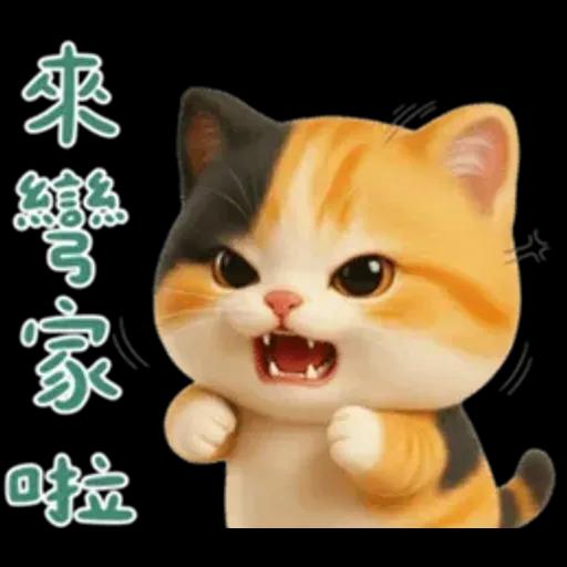 小花貓來嘍來嘍！