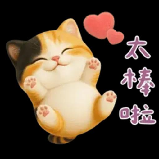 小花貓來嘍來嘍！