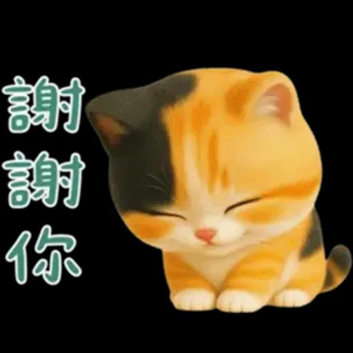 小花貓來嘍來嘍！