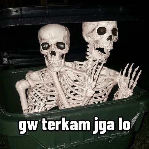 tengkorak☠️