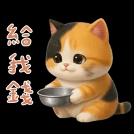 小花貓來嘍來嘍！