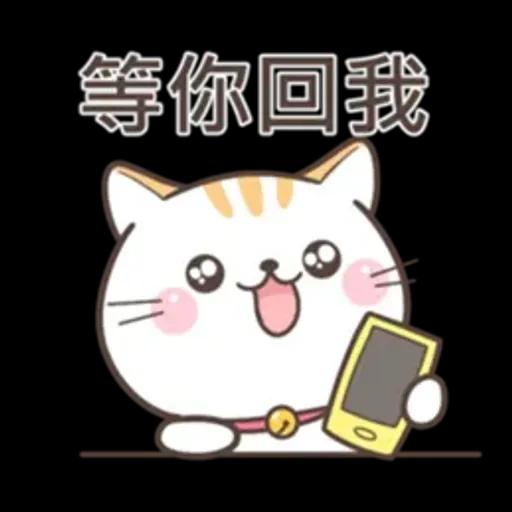 可愛貓小花♡路上小心