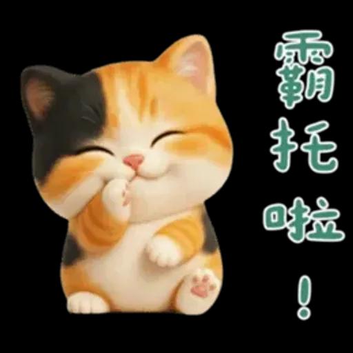 小花貓來嘍來嘍！