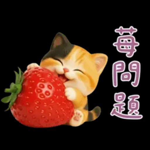 小花貓來嘍來嘍！