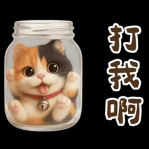 花貓可愛日常實用貼圖