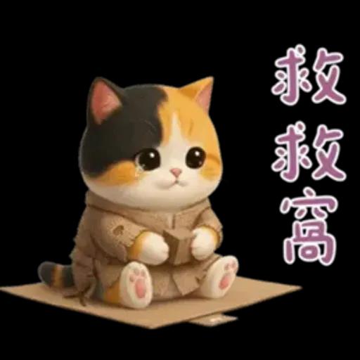 小花貓來嘍來嘍！