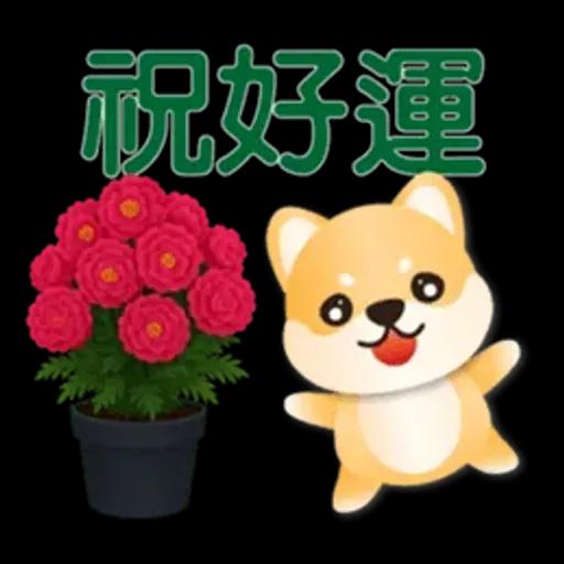 可愛柴犬*實用問候語貼圖