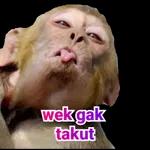 BEGITU LUCU ～