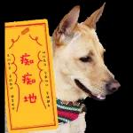 你真是個善良的天使~
