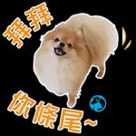  記得
飲多啲水
.
金