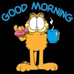 今日熱門表情，快來看呀 