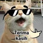 MANTAAPPP