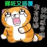 收到，即刻安排