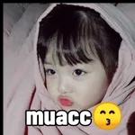  OKE BEBE