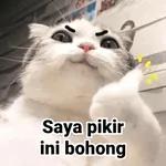 BEGITU LUCU ～