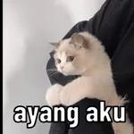  ayang aku