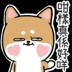 海量表情包免費領取！！！