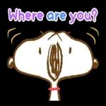 Snoopy 3