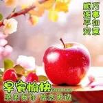 早安，我的朋友