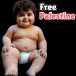                              Free Palestine TOP STICKERS