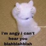 sadasscat i'm angy i can't hear you blahblahblah