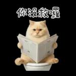 廁所貓貓✩別吵!我在用力✩