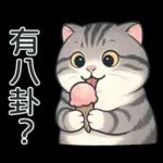 貓系列(4)-灰色虎斑貓