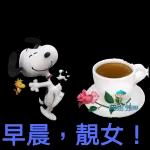 我知道全世界都知道