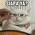 Kucing lucu🐱