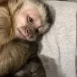 你在想什么啊？