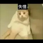 日常百貨