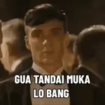                              Shelby CuyTOP STICKERS