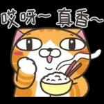 我已經累了，想瞓覺😴