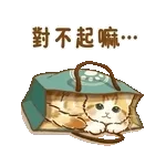 0106-tw-anim-小橘猫