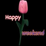 3DIAS SEMANA/FIN SEMANA03