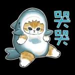 鲨鱼合金