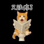 廁所貓貓✩別吵!我在用力✩