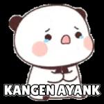 Dudu Putih Bucin