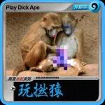 收到，即刻安排