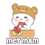                             MEME PENTOL TOP STICKERS