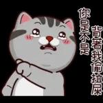 塔仔不正經 奇怪啪