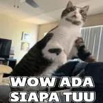 WOW ADA SIAPA TUU