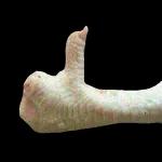 SelamatpekanSemoga selalusehat ceriaBersama keluargaelamat berakhir