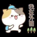 可愛貓貓❤貼心日常❤7