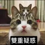 可爱猫仔贴纸-要唔可以抱下 