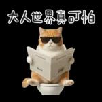 廁所貓貓✩別吵!我在用力✩
