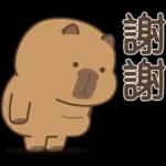 私貨動物園 咔屁大澡堂